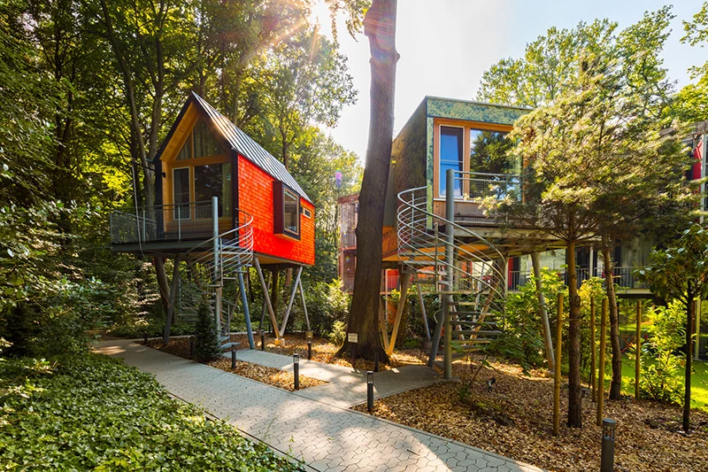 V-Hotel, Bonn, VHotel, VHotelBonn, Hotel, familiengeführt, umweltbewusst, nachhaltig, individuell, empfohlen, Venusberg, Kottenforst, Glücksort, NRW, Deutschland, Wald, Natur, comeinfeelgreen, Come in feel green, Nachhaltigkeit, Sustainability, Designhotel, Design-Hotel, Design, Kunst, modern, Tagungshotel, Workshop, Seminar, Kick-off, Weihnachtsfeier, Event, Baumhaushotel, Baumhaus-Hotel, Baumhaus, Baumhäuser, Zimmer, Einzelzimmer, Doppelzimmer, Suite, Junior Suite, Frühstück, Ferien, Sommerferien, Osterferien, Herbstferien, Weihnachtsferien, Urlaub, Kurzurlaub, Städtetrip, Wochenende, Auszeit, Nichtraucherhotel, Frühstück, vegetarisch, vegan, Obstsalat, selbst gemacht, Kaffee, gesund, frisch, Honeymoon, Geburtstag, Jahrestag, verliebt, LGBTQIA+, LGBTQIA-freundlich, LGBTQIA-friendly, Überraschung, E-Ladestation, Ladestation, kostenfreies W-Wlan, kostenlos Parken, Parkplatz, Minibar, Beethoven, Politik, Sightseeing, Waldbaden, Museum, Museumsmeile, Wandern, Spazieren, Joggen, Radfahren, Ruhe, Relaxen, Übernachtung. übernachten, Reisen, Reise, Rhein, Siebengebirge, Wanderlust, vier Sterne, tree house, tree house hotel, vacation, conference hotel, seminar hotel, city trip, Germany, hôtel design, durabilité, cabane dans les arbres, hôtel cabane dans les arbres, vacances, hôtel de conférence, hôtel pour séminaires, séjour en ville, Allemagne, duurzaamheid, boomhut, hotel Tree House, vakantie, conferentiehotel, seminar hotel, excursie naar de stad, Duitsland